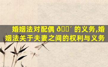 婚姻法对配偶 🐴 的义务,婚姻法关于夫妻之间的权利与义务